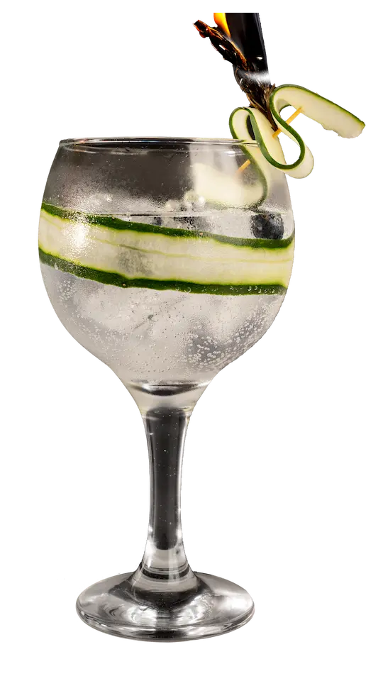 Gin Tonic